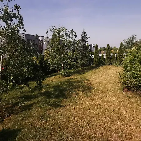 Sunny Garden Apartment
