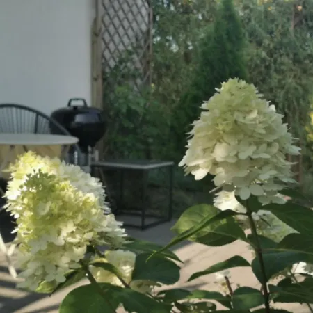 아파트 Sunny Garden 스와프스크